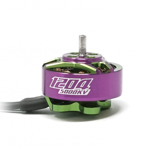 RCINPOWER GTS V2 1204 5000KV Purple+Green